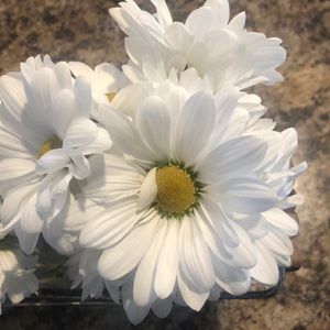 Meet your Posher, Curtis